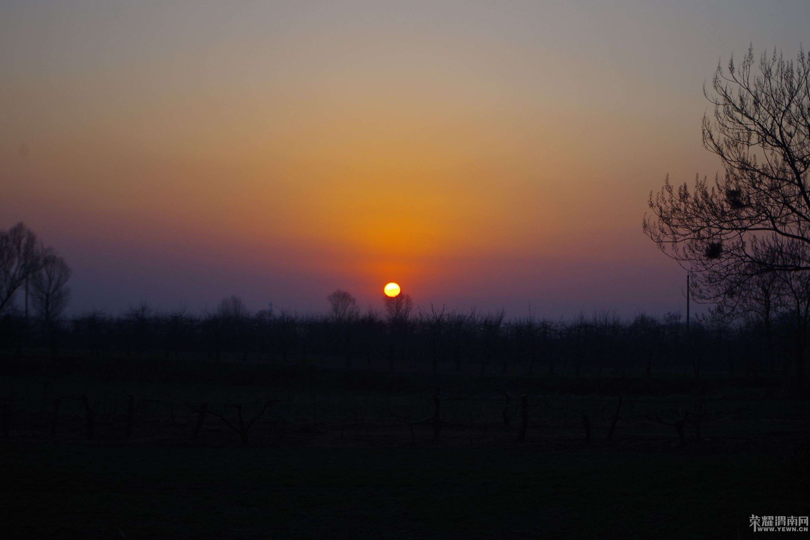 μ�����񰮷���