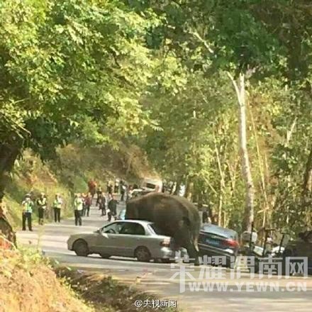 ������˫����Ұ����·��14������(ͼ)