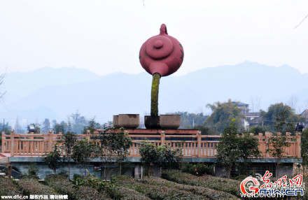 ������ƽ�����ղ�����²�:��ɫˮ������(ͼ)