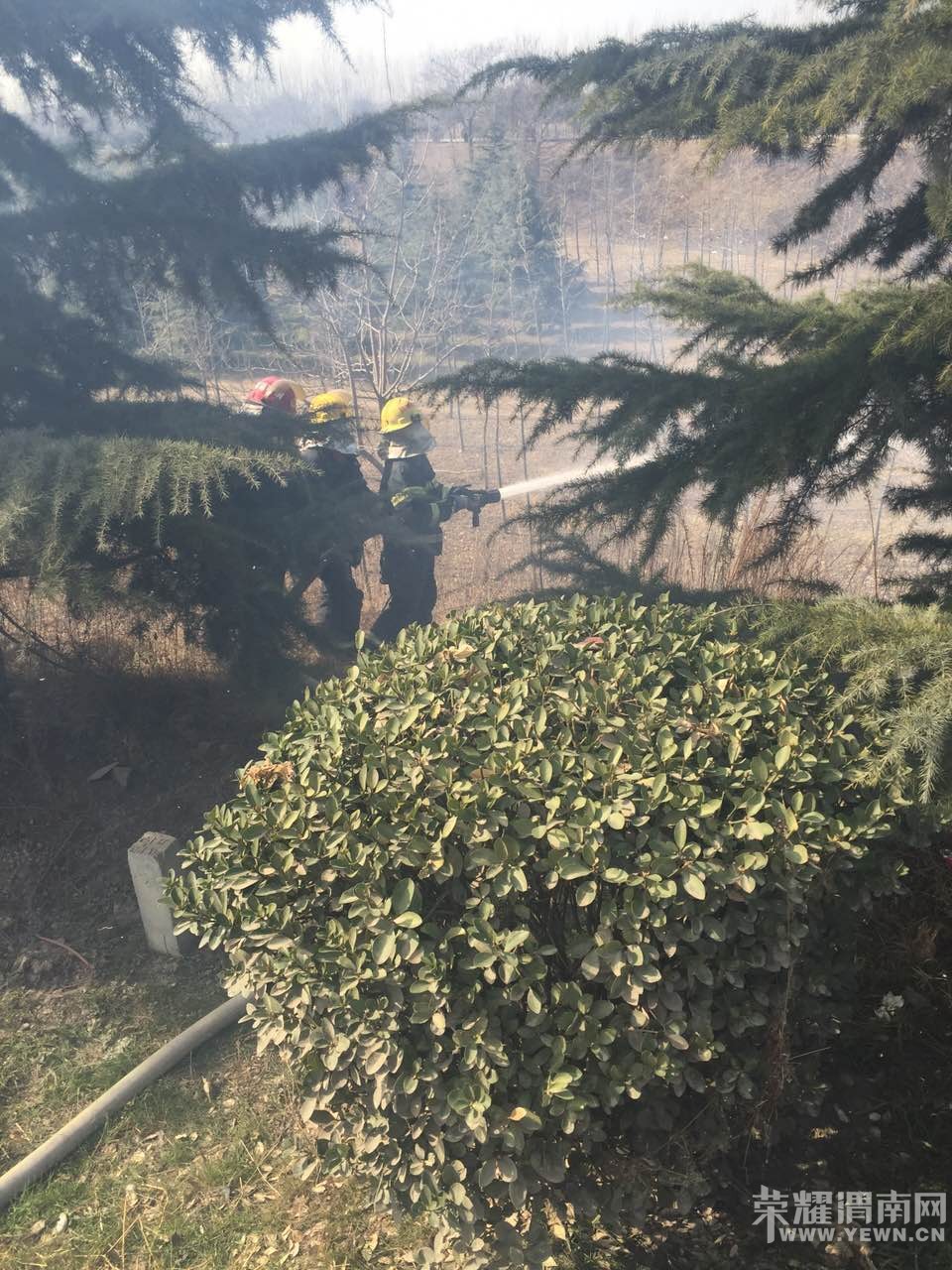 μ��������ӵ̲�ƺ�������� �����ѵõ����ƣ���ͼ��