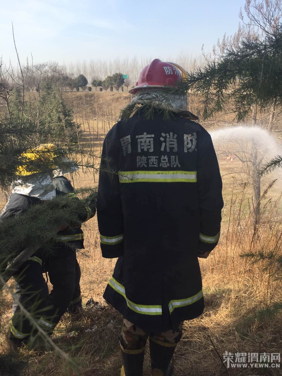 μ��������ӵ̲�ƺ�������� �����ѵõ����ƣ���ͼ��