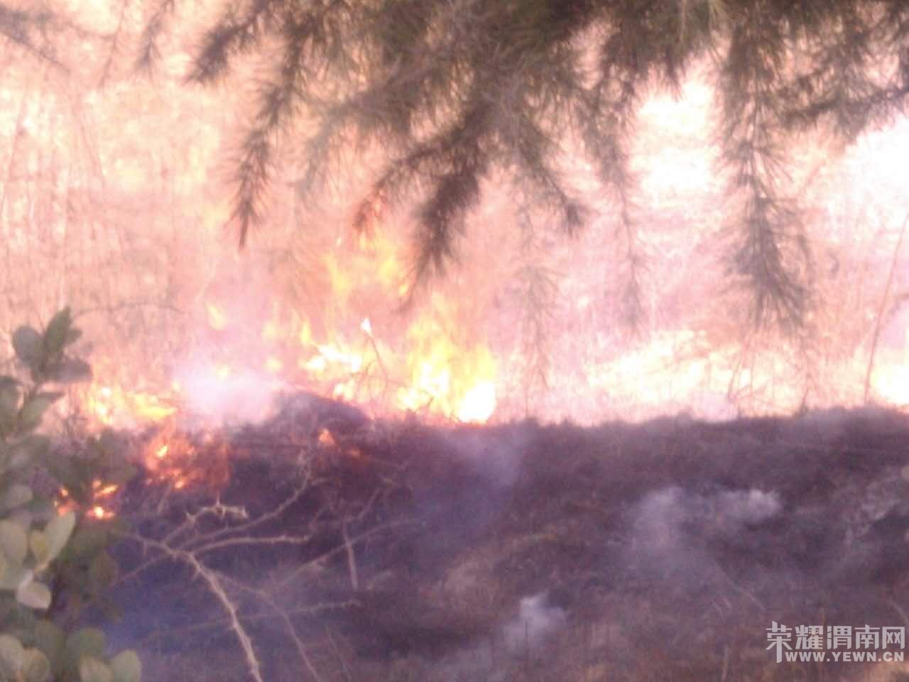 μ��������ӵ̲�ƺ�������� �����ѵõ����ƣ���ͼ��