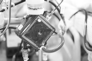 15��Ů������������һ�� ����һ��ͣ��4��(ͼ)