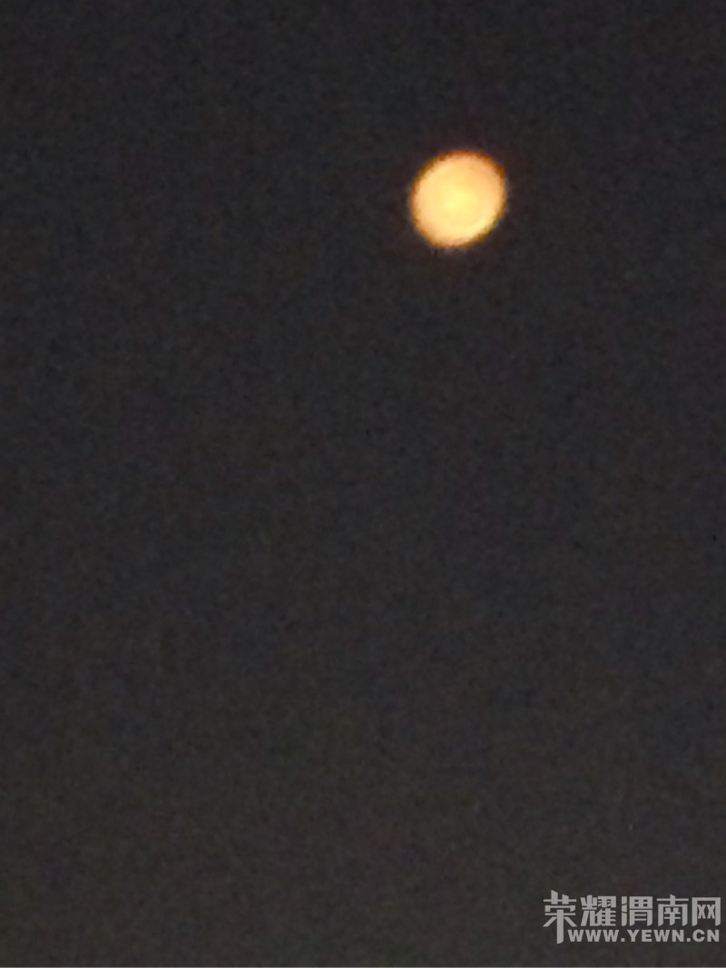 Ԫ�����������Ը�ƣ�����������~