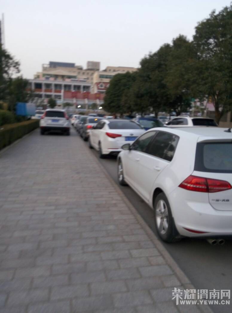 ��԰С�������ǣ����ܺú�ͣ����?