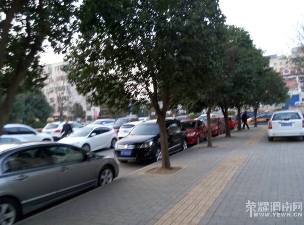 ��԰С�������ǣ����ܺú�ͣ����?