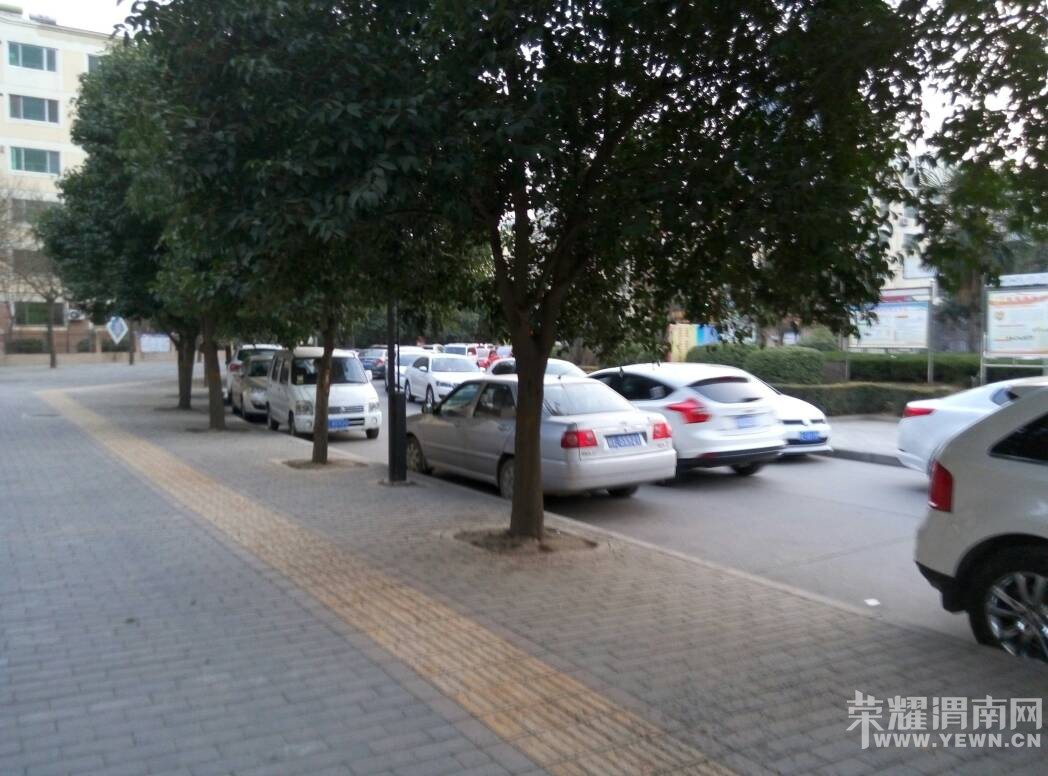 ��԰С�������ǣ����ܺú�ͣ����?