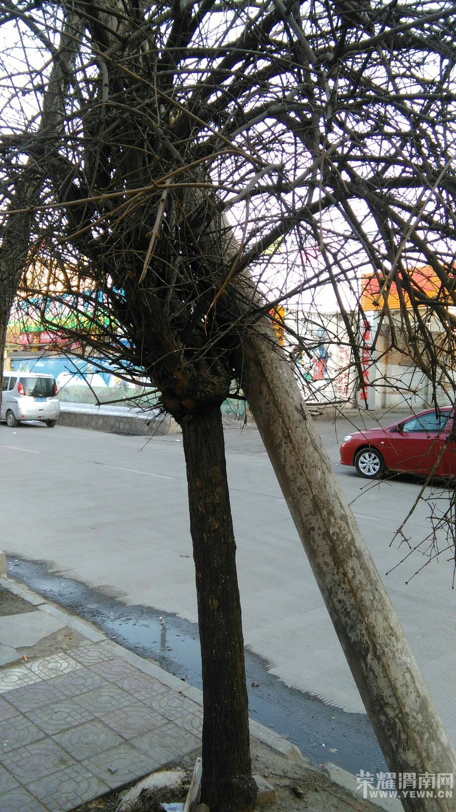 ·��ͻȻ����������ܰ�Ļ��棺���˻������ж������