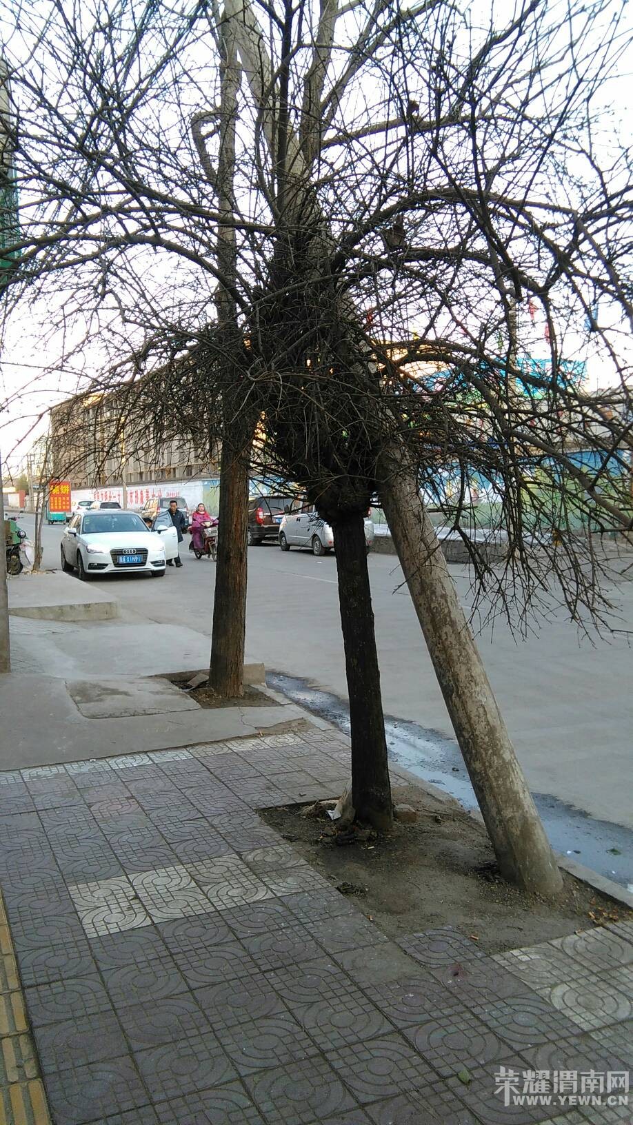 ·��ͻȻ����������ܰ�Ļ��棺���˻������ж������