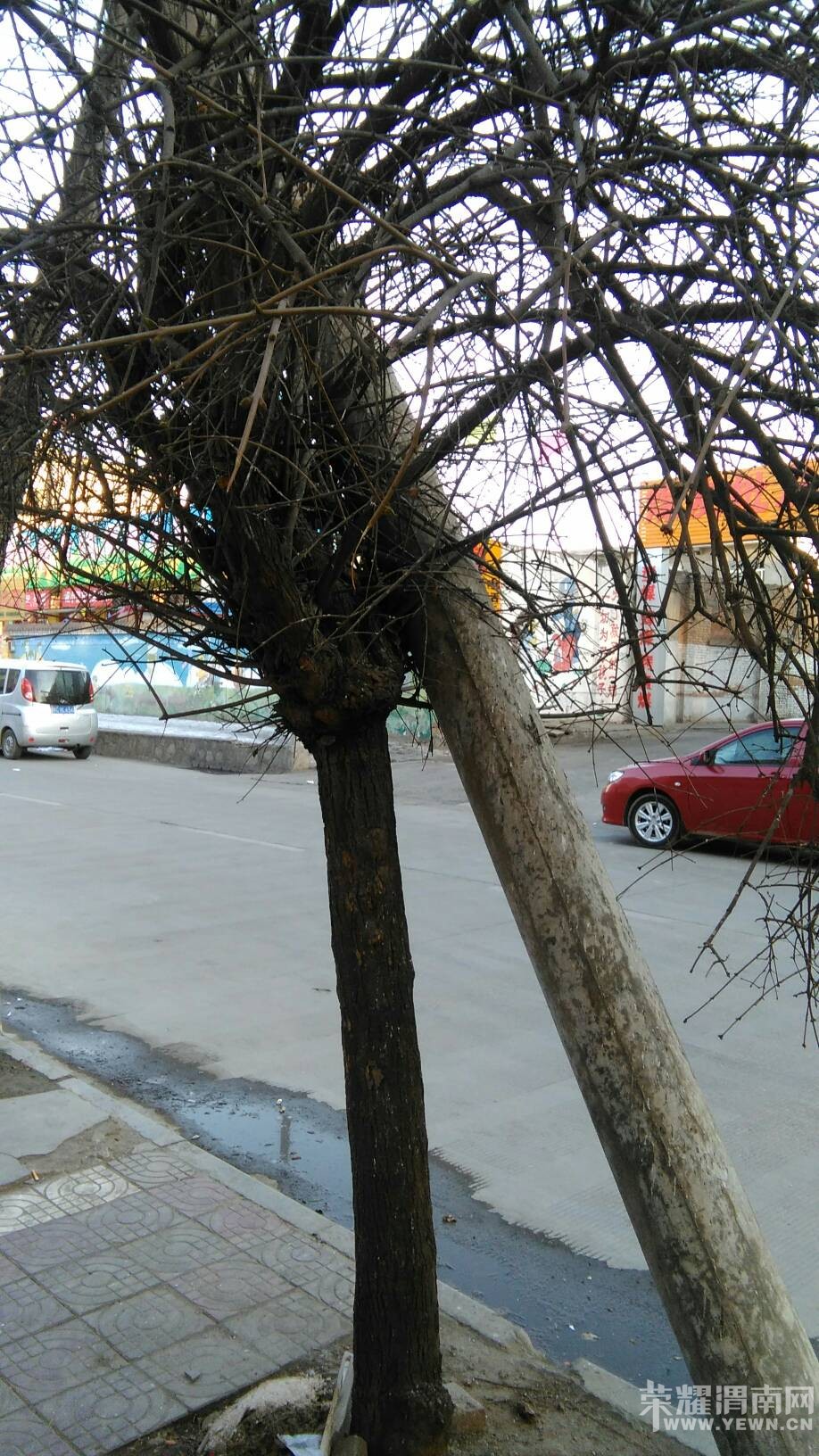 ·��ͻȻ����������ܰ�Ļ��棺���˻������ж������