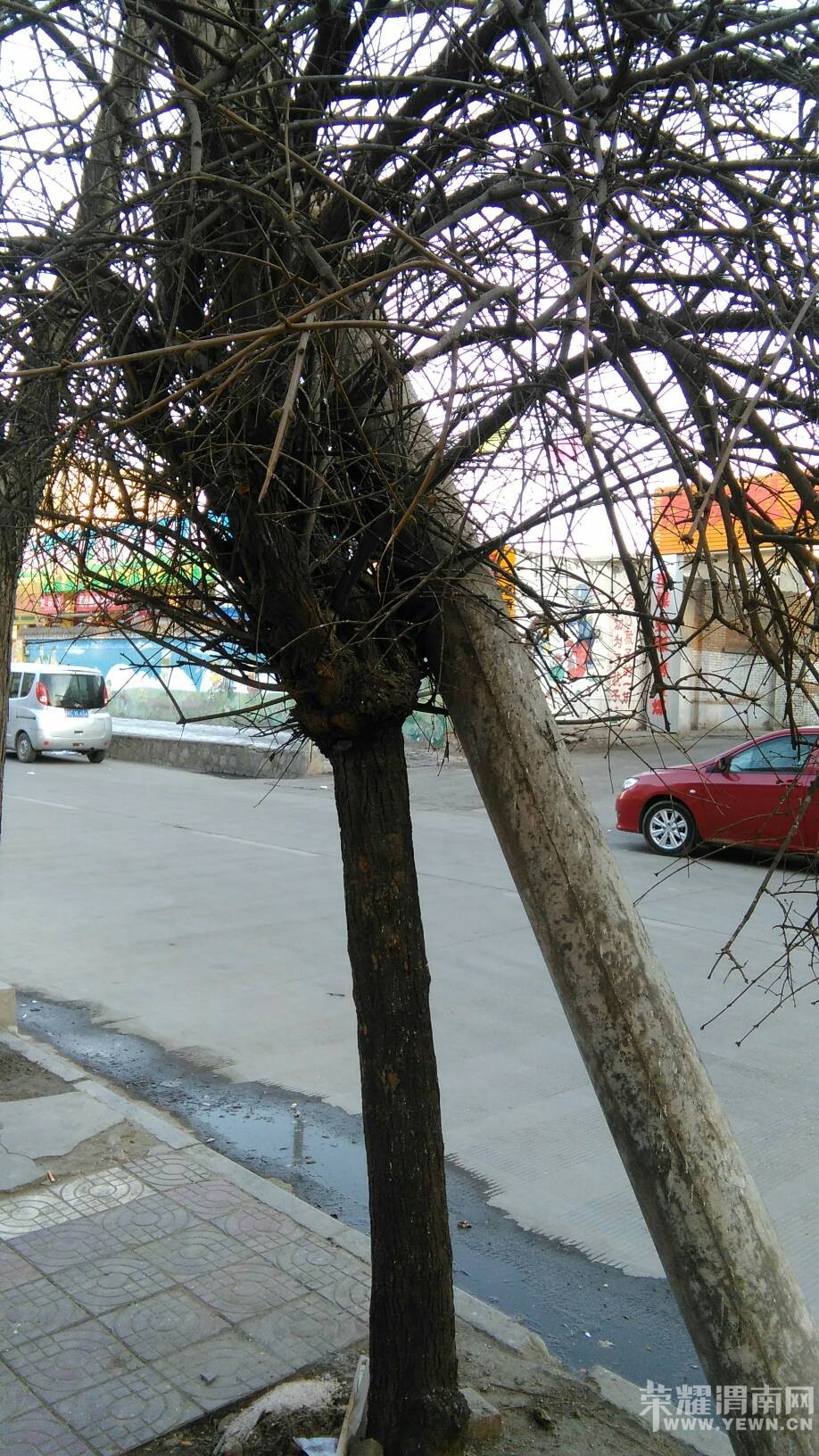 ·��ͻȻ����������ܰ�Ļ��棺���˻������ж������