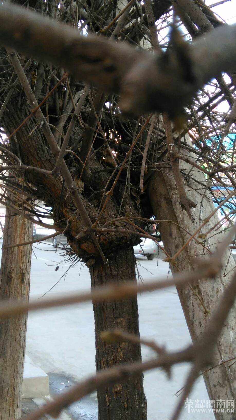 ·��ͻȻ����������ܰ�Ļ��棺���˻������ж������