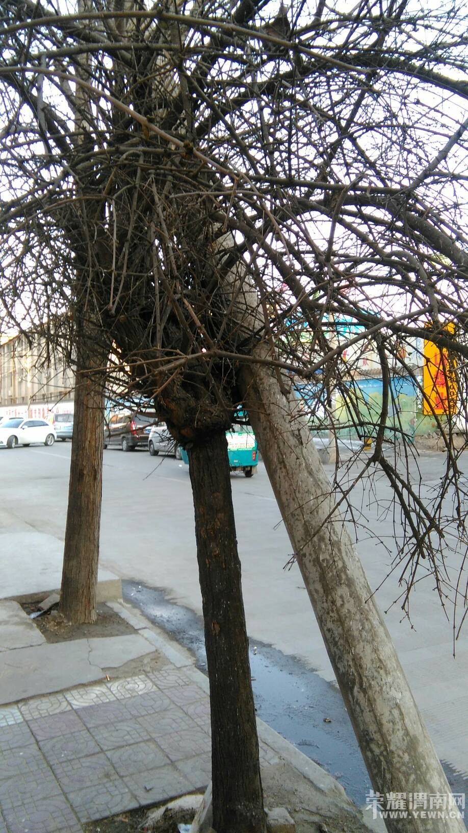 ·��ͻȻ����������ܰ�Ļ��棺���˻������ж������