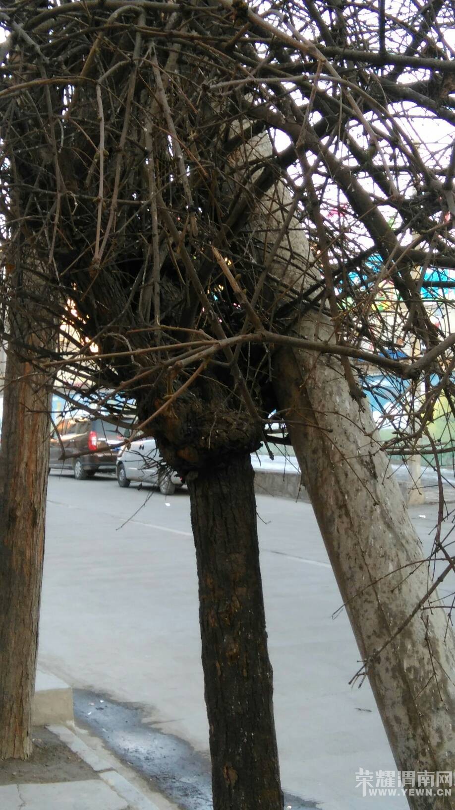 ·��ͻȻ����������ܰ�Ļ��棺���˻������ж������