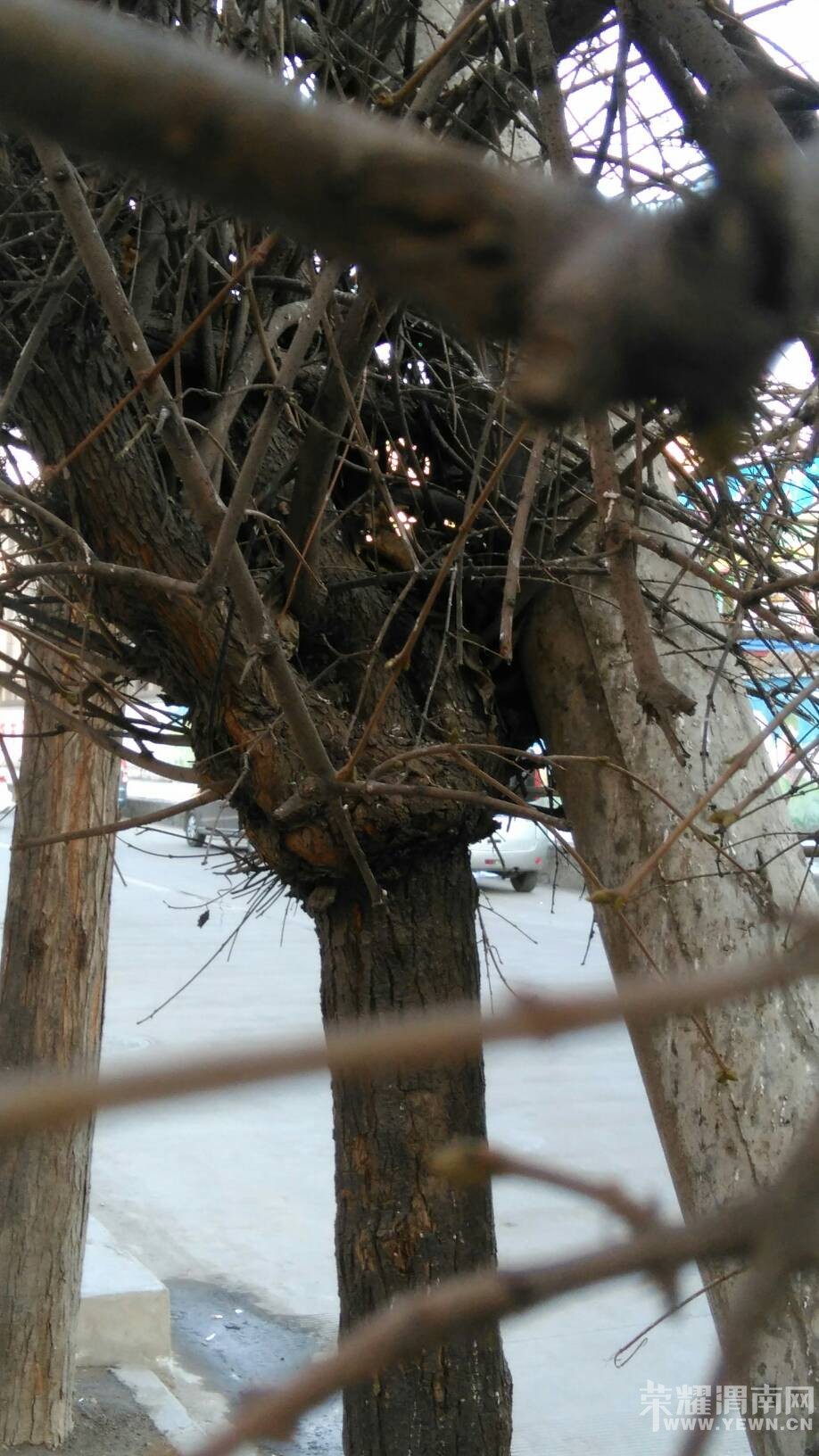 ·��ͻȻ����������ܰ�Ļ��棺���˻������ж������