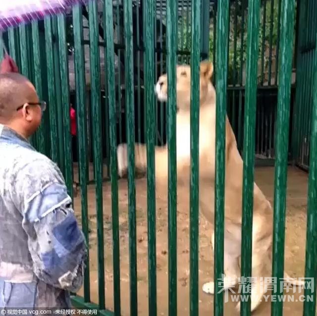 ��ҵ�·���ʨʧ��  ��Ժ�ƾ��˶���԰˵û����