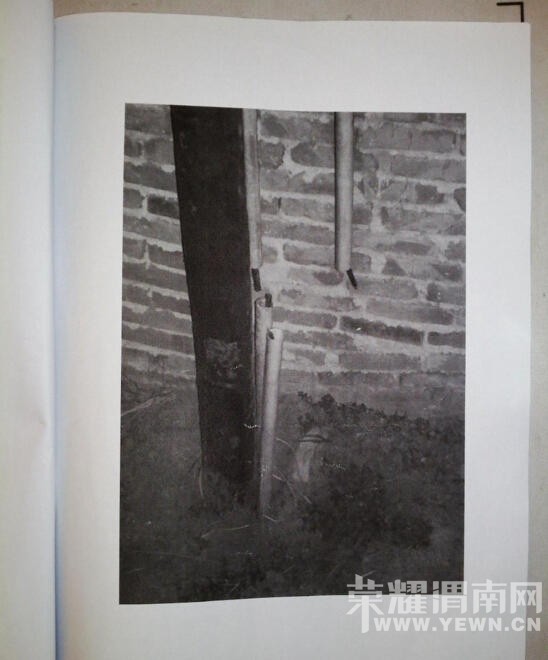 ������Ϊй˽�߸�ϵ��� ��ʹ20���˳�Ϧͨ���ж�