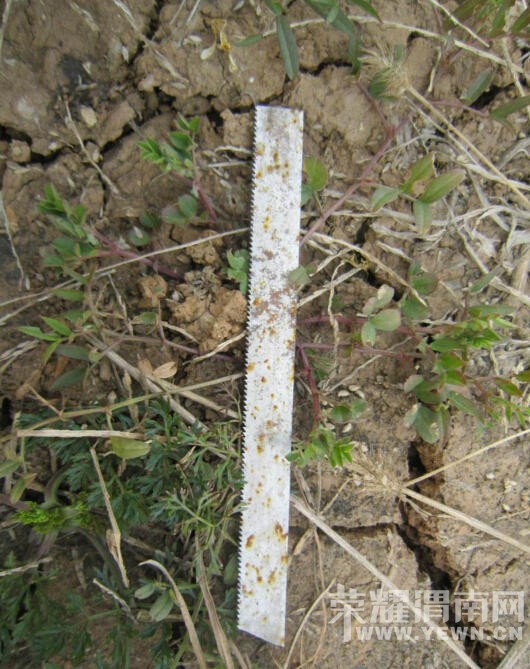 ������Ϊй˽�߸�ϵ��� ��ʹ20���˳�Ϧͨ���ж�