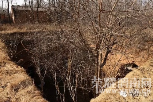 �������С����´塱�ı�Ǩ����ȥҤ��������