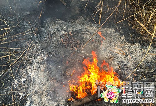 ����̤��Ұ�����û� ũ����700��������"����"