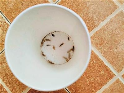 ����һ��������������� ���ҹ��ҧ�ذ�(ͼ)