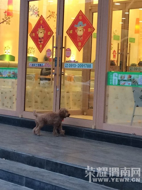 ��ŷ��ĵ¿�ʿ�ſ�һֱ�����Ĺ����ڵ�����~~