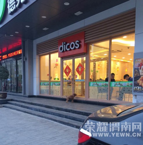 ��ŷ��ĵ¿�ʿ�ſ�һֱ�����Ĺ����ڵ�����~~