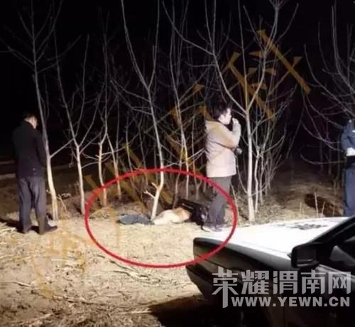 �ӱ�һ˾��ײ��2����ʬ����  ����:�����(ͼ)