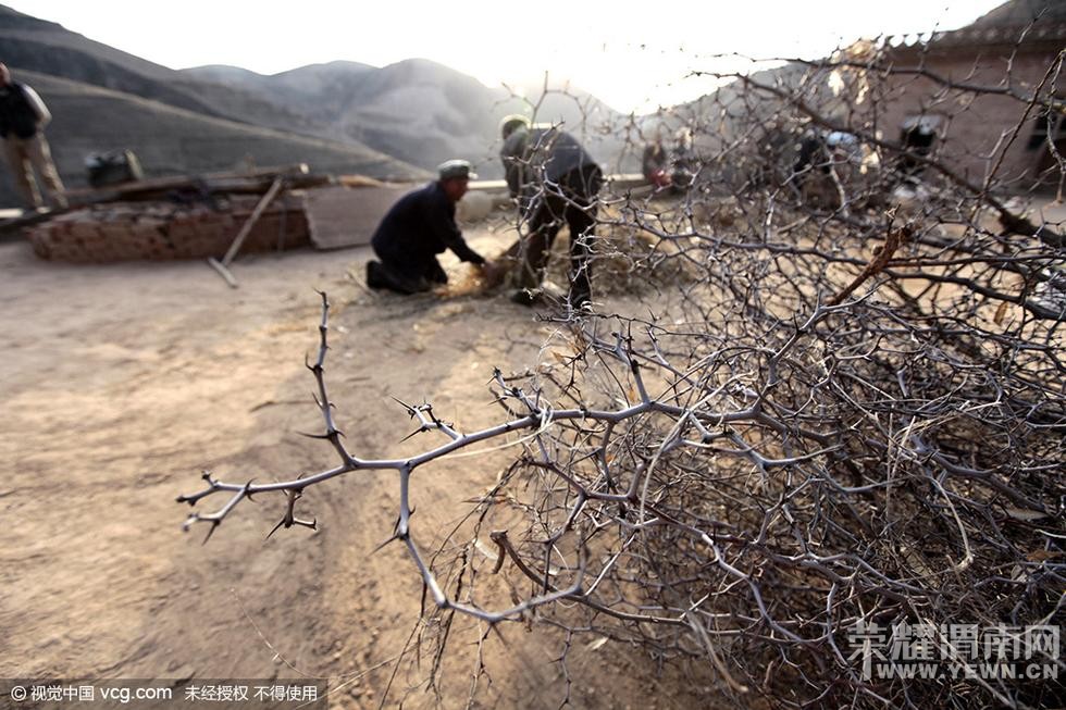 �±���ׯ�����ˣ�������ԡ� �𻨷ɽ�����׳��