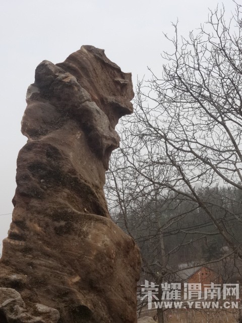 ����Ĵ�˵