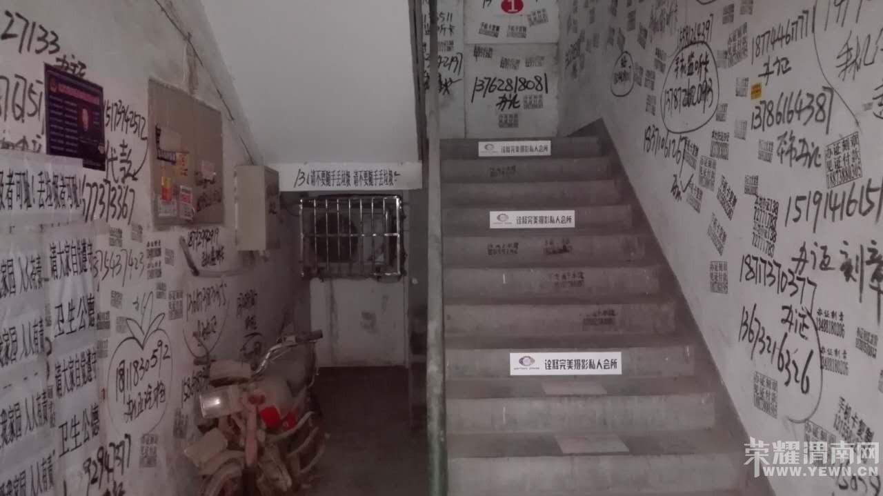 ����·�ֱ�ס��¥��Ұ���