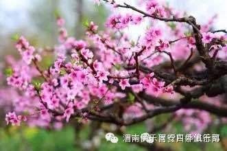 μ�ϡ�����ͬ�л��⡿���һ����ۿ�˹�ص�ò��Ʒ������Ͽ��