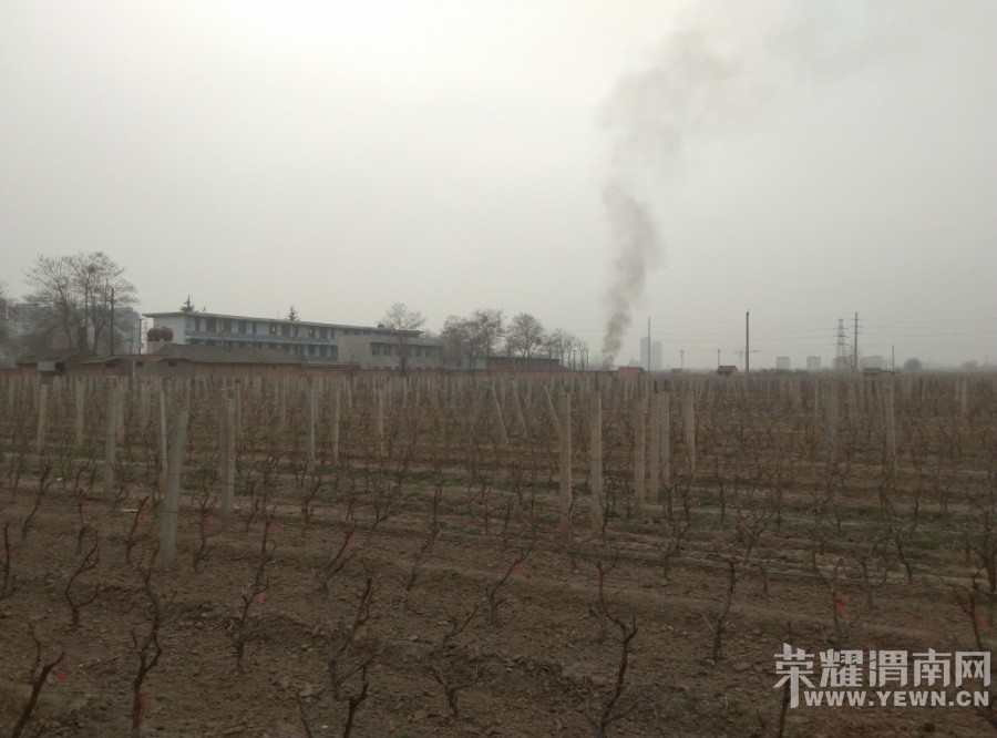 ����������Сѧ�����ĺ��̣���������ζ���ǽ�һ����ˬ