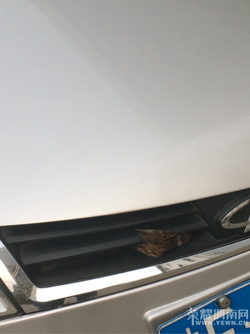 μְԺС��һС����ͷ�ﾹȻ�����ⶫ����զ��ȥ�İ���