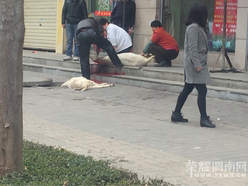 ��һ·ĳ��������ǰ������Ҳ��̶ã������Ѫ��~~