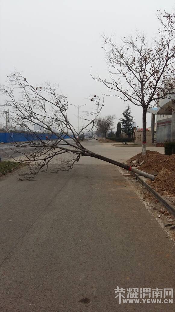 ������������ҵ����֡��������е���˯��������