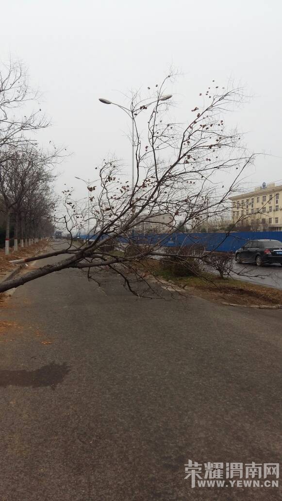 ������������ҵ����֡��������е���˯��������