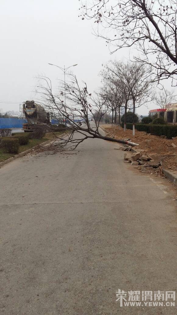 ������������ҵ����֡��������е���˯��������