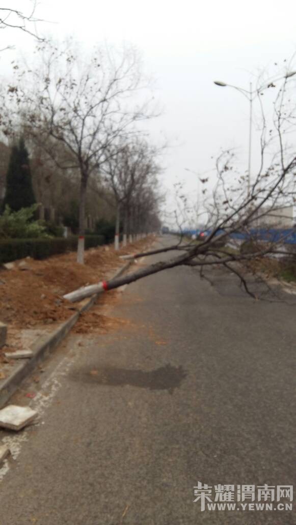 ������������ҵ����֡��������е���˯��������