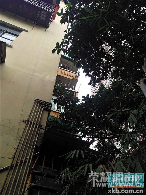 ����һŮ��׹¥������̨�� 2�������׳�������(ͼ)