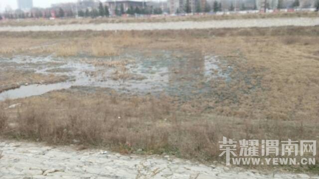 �Ⱥ�ˮ�۵ģ�������̦������Ƭ���ܿ������̵� 