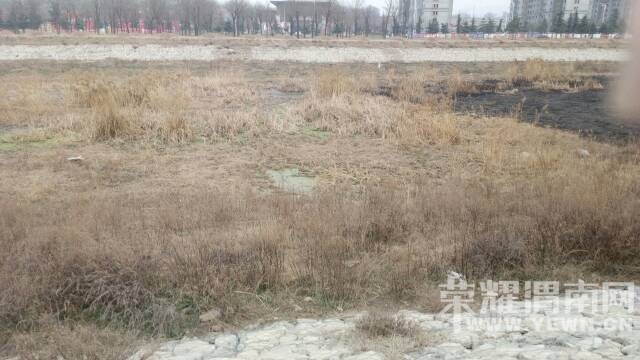 �Ⱥ�ˮ�۵ģ�������̦������Ƭ���ܿ������̵� 