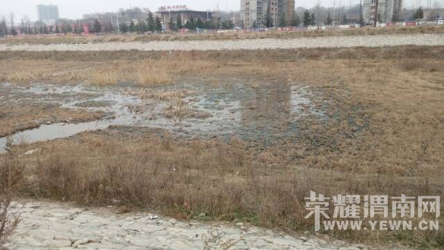 �Ⱥ�ˮ�۵ģ�������̦������Ƭ���ܿ������̵� 