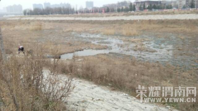 �Ⱥ�ˮ�۵ģ�������̦������Ƭ���ܿ������̵� 