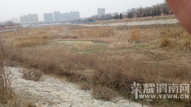 �Ⱥ�ˮ�۵ģ�������̦������Ƭ���ܿ������̵� 