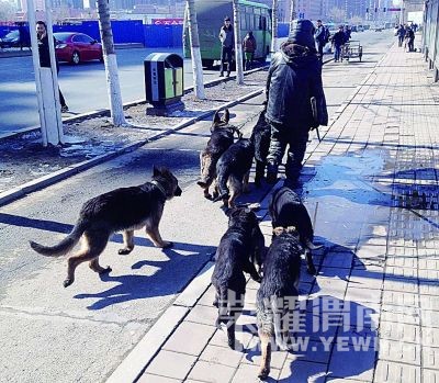 ���ӵ����ް�����Ȯ ��������Ȯ��:Ӧ���ܷ�(ͼ)