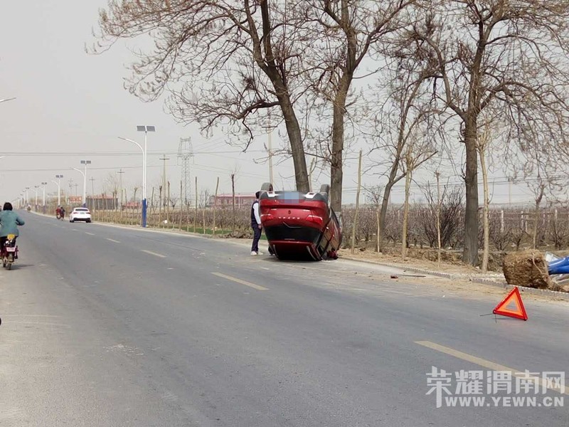 Ŷ���ģ�������ɫС��զ�����˸��׳��죡