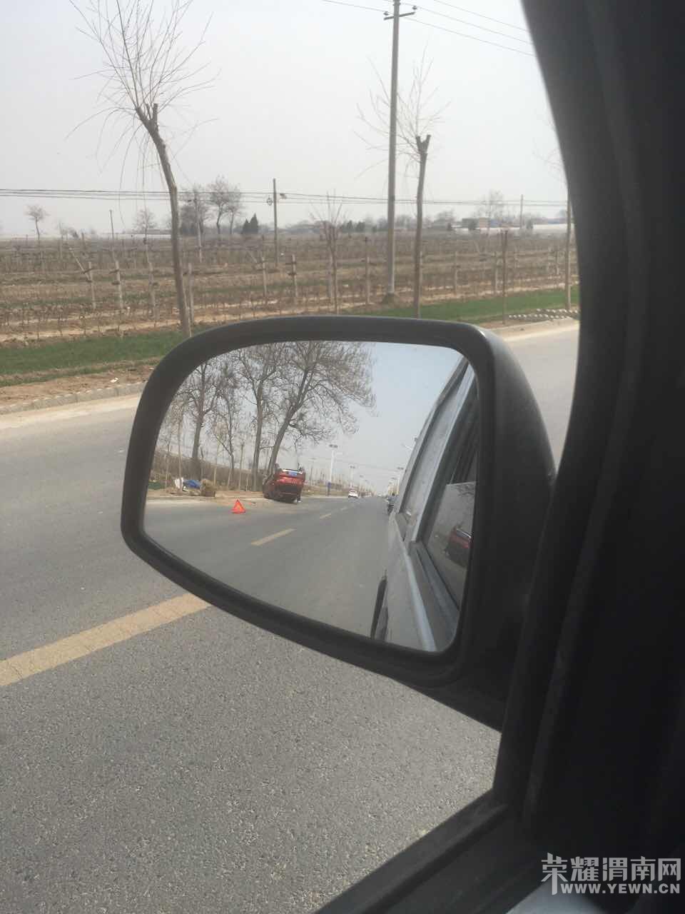 Ŷ���ģ�������ɫС��զ�����˸��׳��죡