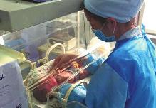 ��Ӥ����������¶  �����ʲ�������֮��(ͼ)