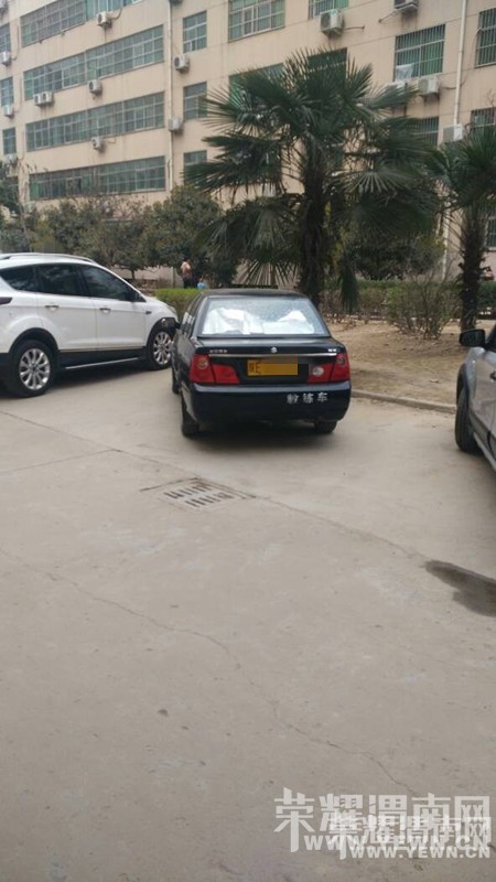 ���������ļҼ�У�Ľ�����ɶˮƽ��